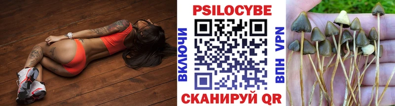 Псилоцибиновые грибы Cubensis Кимры